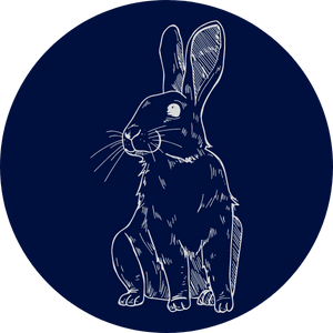 faq-redakcja-korekta